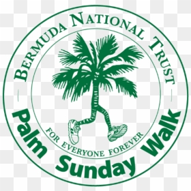 Palm Sunday Walk - Emblem, HD Png Download - palm sunday png