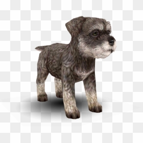Download Zip Archive - Nintendogs And Cats Schnauzer, HD Png Download - schnauzer png