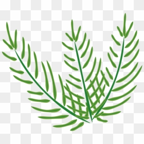 Transparent Easter Palm Sunday Easter Palm Plant Flora, HD Png Download - palm sunday png