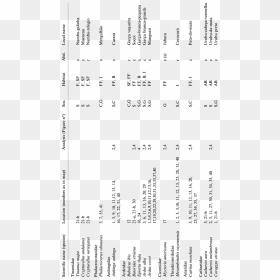 Document, HD Png Download - black mist png