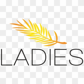 Where Ladies Can Get Together And Share Their Faith, HD Png Download - palm sunday png