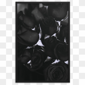 صور اسم عبد الخالق, HD Png Download - black rose petals png