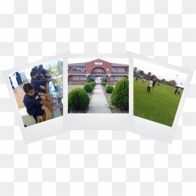Islamic Educational Centre Ladysmith, HD Png Download - turf png