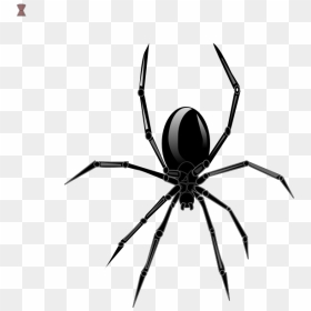 Black Widow Symbol Png, Transparent Png - black widow symbol png