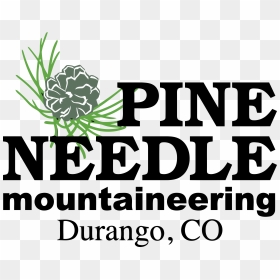 Clip Art, HD Png Download - pine needles png