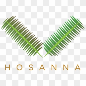 Parallel, HD Png Download - palm sunday png