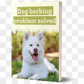 Dog Barking Problem Solved - Baby White Golden Retrievers, HD Png Download - dog barking png