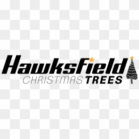 Hawksfield Christmas Trees, Cornwall - Black-and-white, HD Png Download - pine needles png