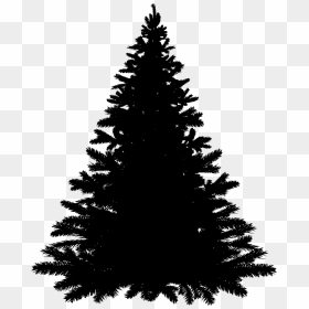 Merry Christmas Tree Png, Transparent Png - pine needles png