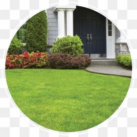 Houston Tx Heights Landscaping, HD Png Download - turf png