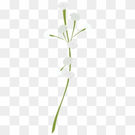 Bouquet, HD Png Download - babys breath png