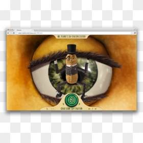 Accipitriformes, HD Png Download - mr peanut png