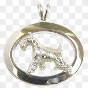 14k Gold Or Sterling Silver Miniature Schnauzer In - Pendant, HD Png Download - schnauzer png