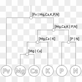 Diagram, HD Png Download - bajo sexto png
