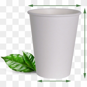 Houseplant, HD Png Download - paper cup png