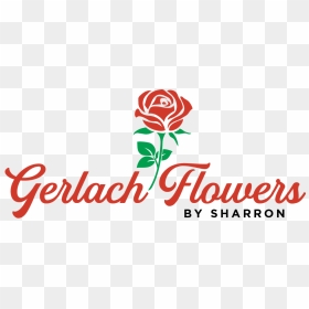 Gerlach Flowers By Sharron - Rose, HD Png Download - babys breath png
