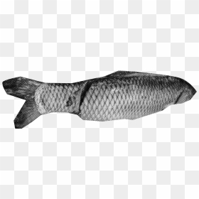 Fish Net Png, Transparent Png - fish net png
