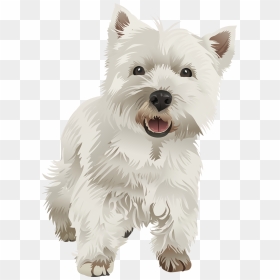 Transparent Dugtrio Png - West Highland Terrier Vector, Png Download - dugtrio png