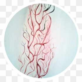 Circle, HD Png Download - yggdrasil png