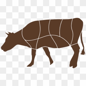 Indian Rhinoceros , Png Download - Indian Rhinoceros, Transparent Png - rhinoceros png