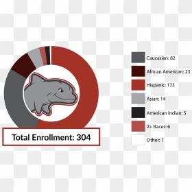 Total Enrollment 304 Caucasian 82 African American - Dundee Middle School, HD Png Download - hispanic family png