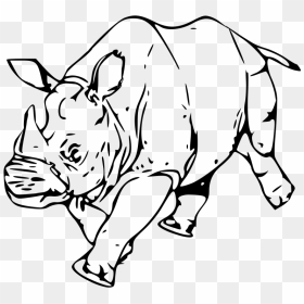 Rhinoceros Line Art Drawing Clip Art - Clip Art, HD Png Download - rhinoceros png