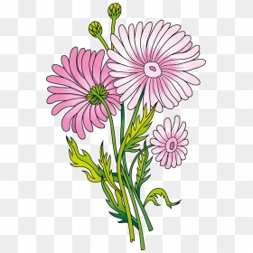 Daisy Clipart - Marguerite Daisy, HD Png Download - daisy clipart png