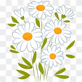 Daisy Clipart - Chamomile, HD Png Download - daisy clipart png