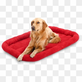 Clipart Bed Dog Bed - Dog On Bed Transparent, HD Png Download - dog bed png