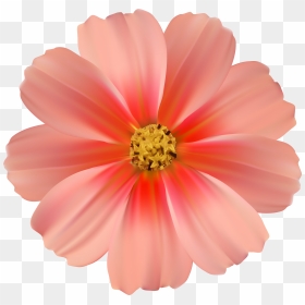 Transparent Daisy Clipart - Clipart Pink Flower Png, Png Download - daisy clipart png