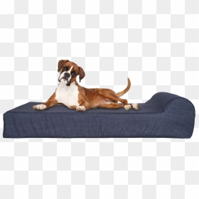 Dog On Bed - American Boxer Dogs, HD Png Download - dog bed png