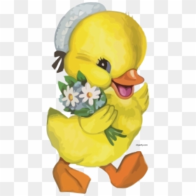 Clipart Patitos, HD Png Download - daisy clipart png