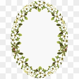 Frame Png Oval With Flowers, Transparent Png - white oval frame png
