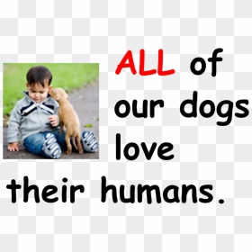 Love Humans , Png Download - Toddler, Transparent Png - humans png