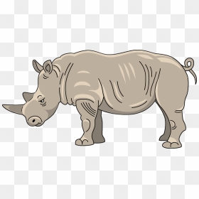 Rhinoceros Clipart, HD Png Download - rhinoceros png
