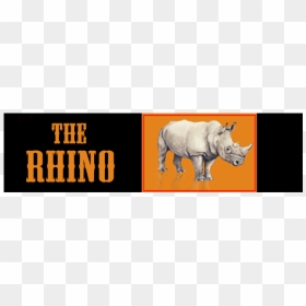 Forweb - Black Rhinoceros, HD Png Download - rhinoceros png