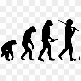 Theory Of Evolution Falls Apart - Monkey To Human Stages, HD Png Download - humans png