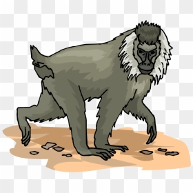 Monkey Clipart Clipart - Baboons Clipart, HD Png Download - monkey clipart png
