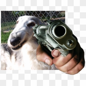 Hand Holding A Gun, HD Png Download - chancla png