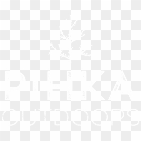 Christmas Tree, HD Png Download - outdoors png