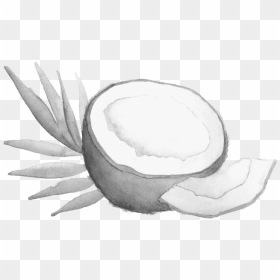 Still Life Photography, HD Png Download - gritty texture png