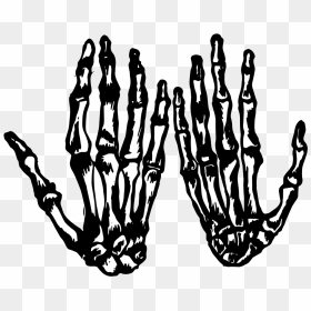 Skeleton Hands Png, Transparent Png - skeleton hands png