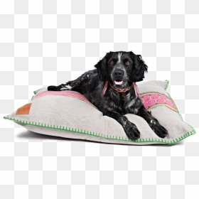 Hundebett Bio Baumwolle, HD Png Download - dog bed png