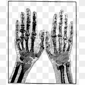 Portable Network Graphics, HD Png Download - skeleton hands png