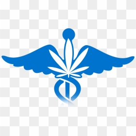 Medicinal Clipart Nursing Symbol - Clip Art, HD Png Download - physician png