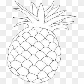 Thumb Image - Outline Pictures Of Pine Apple, HD Png Download - black and white pineapple png