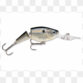 Jsr05ssd - Anchovy (food), HD Png Download - fishing lure png