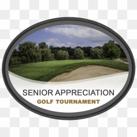 Golden Hawk Public Golf Course Senior Appreciation - Grass, HD Png Download - golf course png