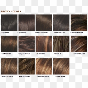 Medium Brown Hair Color Shades, HD Png Download - hair with bangs png
