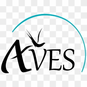 Clip Art, HD Png Download - aves png